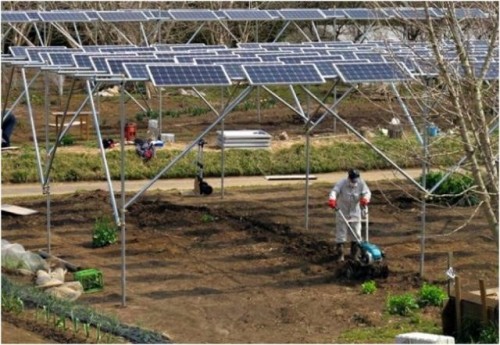 Bombeo Solar: El Futuro de la Agricultura con Placas Solares