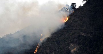 Anexo 1. Semana.com https://www.semana.com/nacion/articulo/incendio-en-los-cerros-orientales-de-bogota/401452-3/
