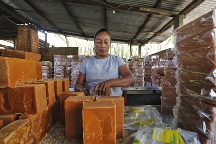 Dulce Revolución: Cómo la Panela está Transformando el Futuro de Colombia