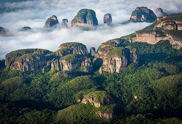 El Amazonas Colombiano: Biodiversidad, Impacto Ambiental y Turismo Sostenible